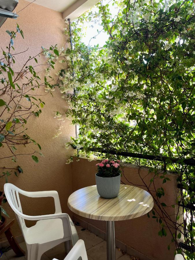 Apartmani Goran I Jelena Zec Budva Luaran gambar